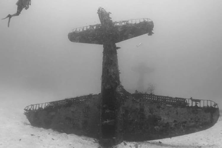 一名潛水員在太平洋底部發現了殘骸，當他仔細觀察時，立刻喘了口氣
