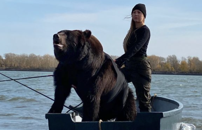 一個女人與一隻熊是最好的朋友-但這隻熊突然做了一些出乎意料的事情。