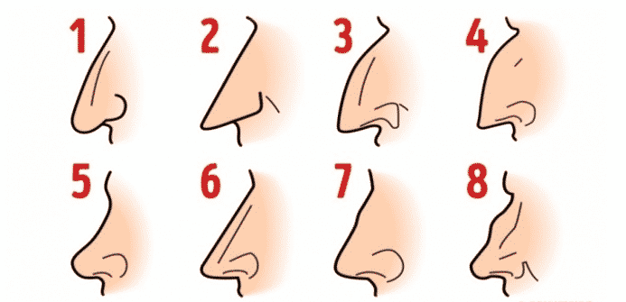 8 types of noses