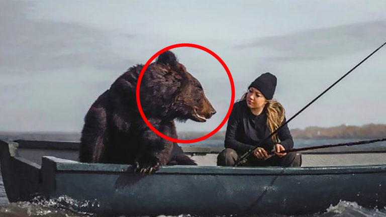 한 여성이 곰과 가장 친한 친구이지만 곰은 갑자기 예기치 않은 일을 했습니다