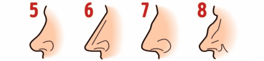 nose shapes5-8