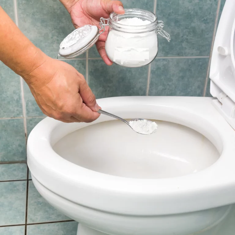 Versez de la poudre à lessiver dans votre cuvette de toilettes et voyez ce qui se passe !