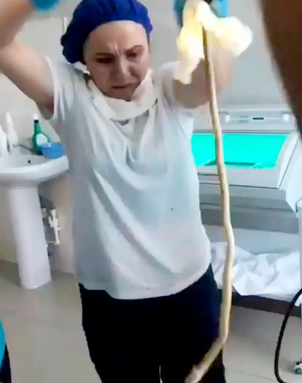 Az ápoló a kihúzott kígyóval
