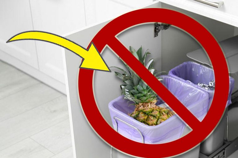 Why you shouldn’t throw away crowns of pineapples