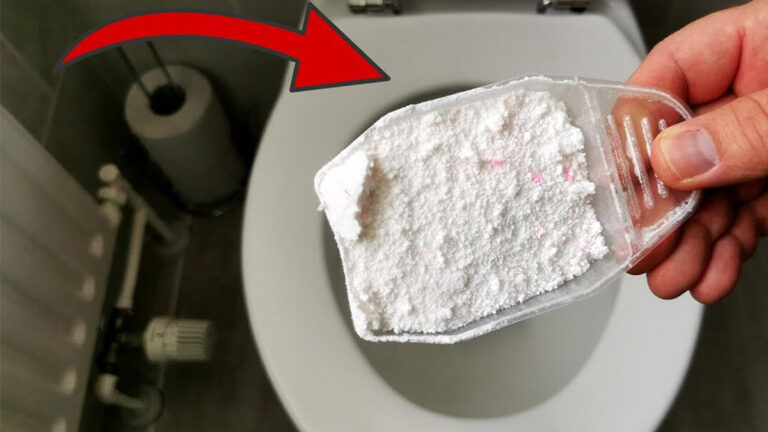 Häll lite tvättpulver i din toalettskål och se vad som händer!