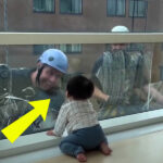 طفل يشاهد منظف النوافذ ولكن فجأة يشير الطفل بإصبعه إلى شيء ما