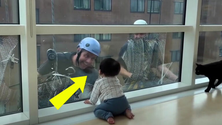 طفل يشاهد منظف النوافذ ولكن فجأة يشير الطفل بإصبعه إلى شيء ما