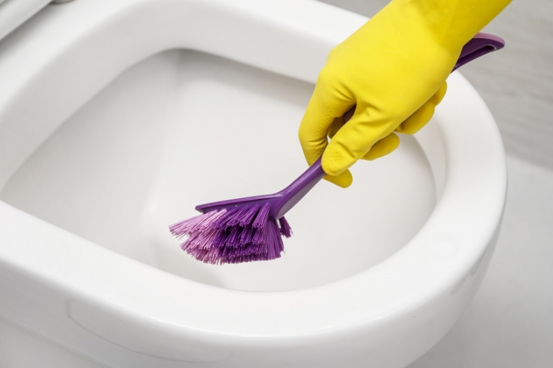 How Often Should You Clean Your Toilet?