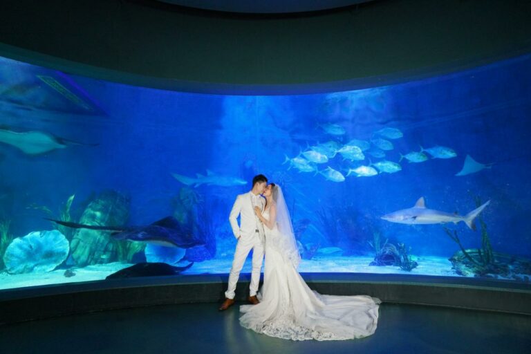 wedding-at-the-aquarium